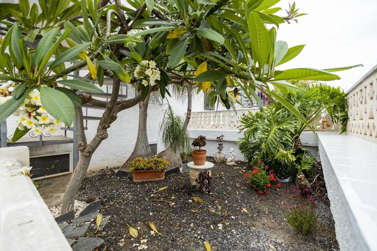 Bonito Y Acogedor Apartamento Con Terraza Los Realejos Spain